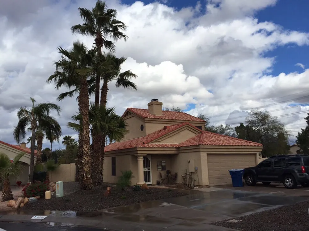 Professional yard cleanup service experts serving Chandler, AZ - CGL Landscaping