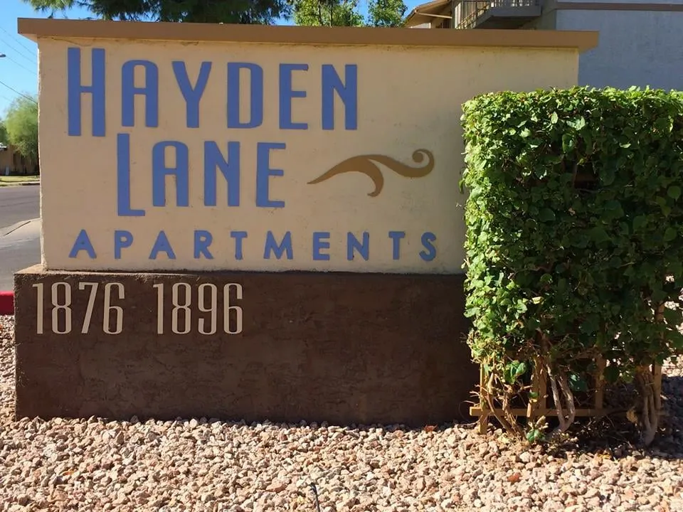 Local landscaping services for year-round maintenance in Chandler, AZ by CGL Landscaping