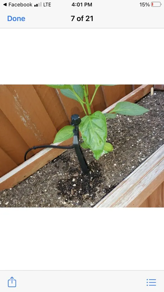 Top-rated yard cleanup service near you in Pittsburg, CA by CGNB Landscaping Services