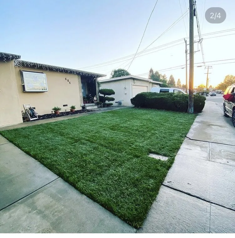 Professional lawn mowing service for outdoor upgrades across Pittsburg, CA - CGNB Landscaping Services