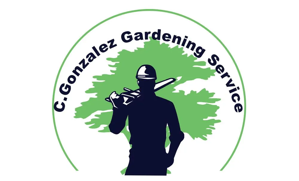 Custom landscape installation with custom design in Desert Hot Springs, CA by C.gonzalez Gardening