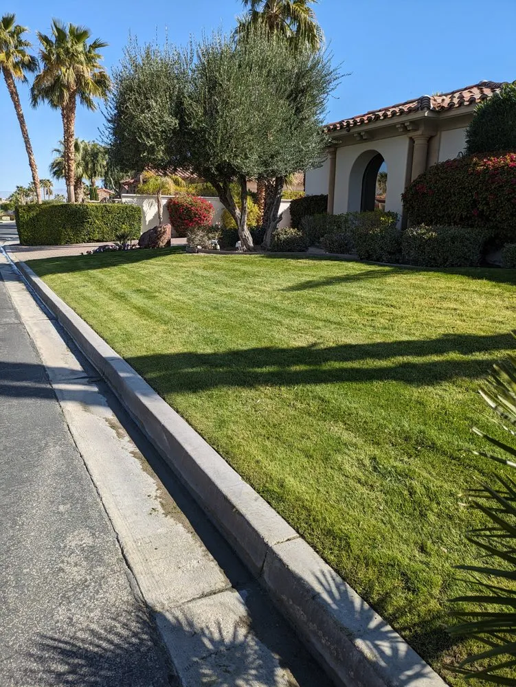 Affordable garden landscaping with custom design across Desert Hot Springs, CA - C.gonzalez Gardening