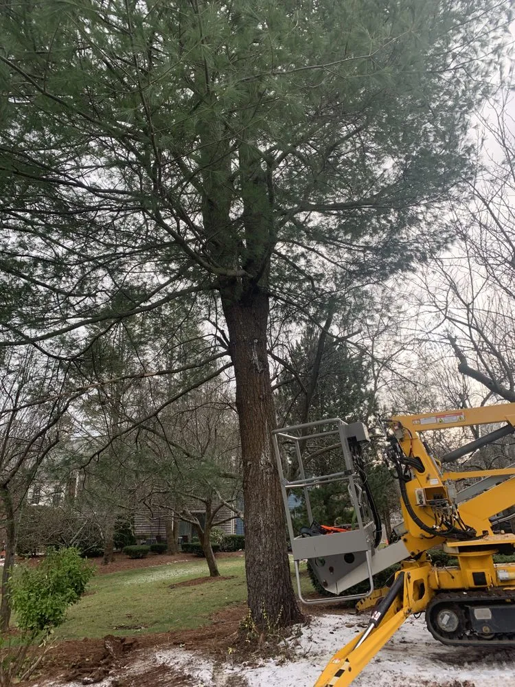 Reliable yard cleanup service experts serving Swampscott, MA - CGP Landscaping