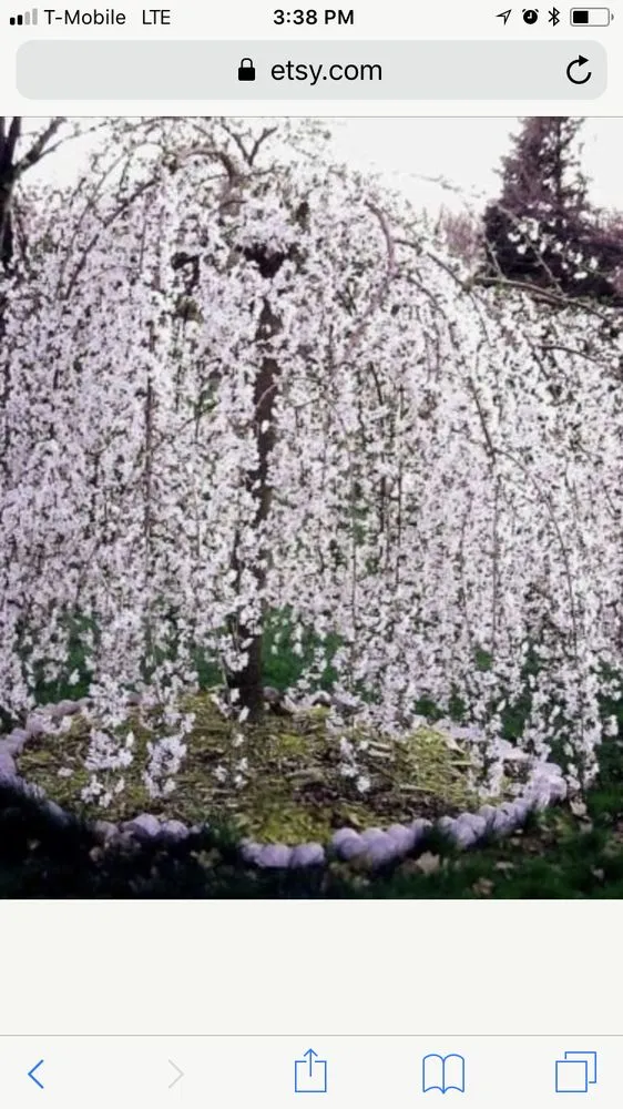 Local landscaping services in Swampscott, MA by CGP Landscaping