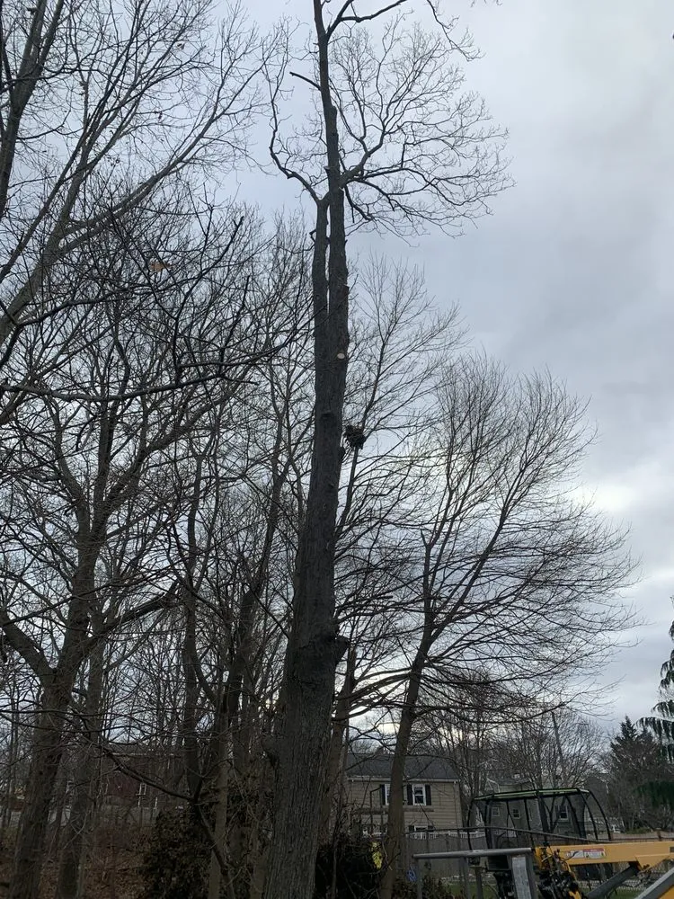 Top-rated landscape installation experts serving Swampscott, MA - CGP Landscaping