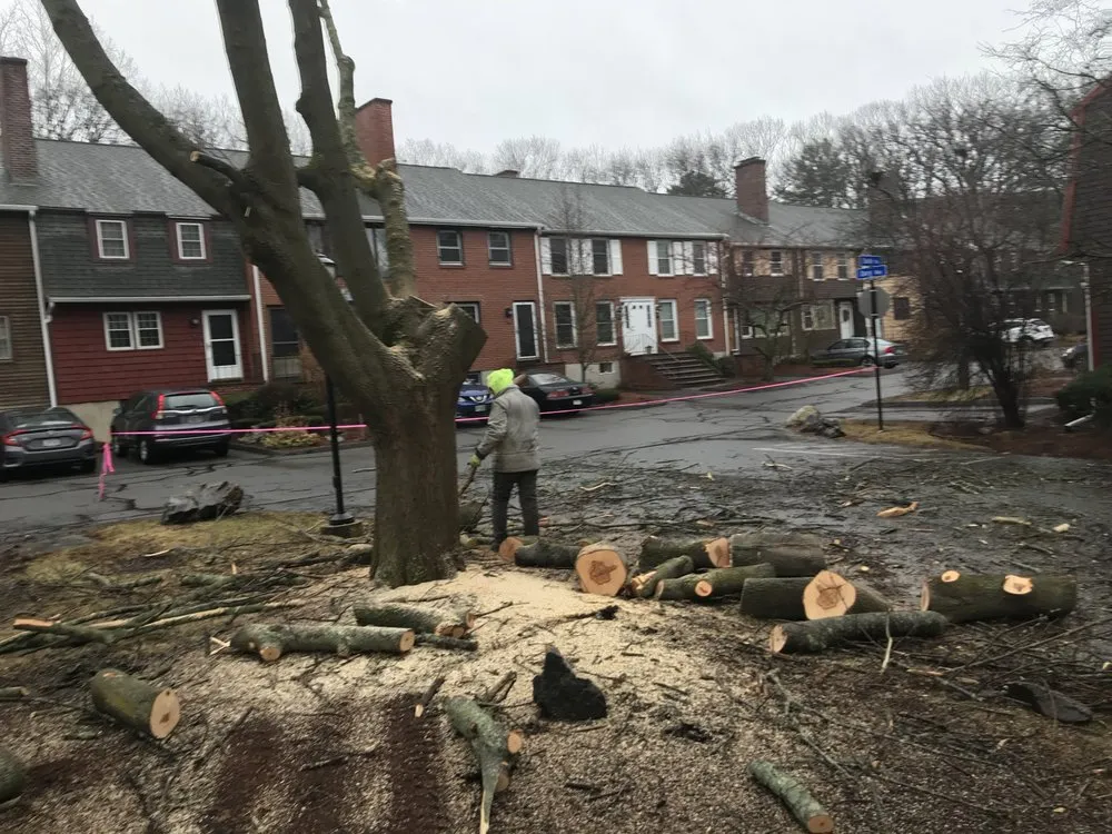 Affordable landscape design in Swampscott, MA by CGP Landscaping