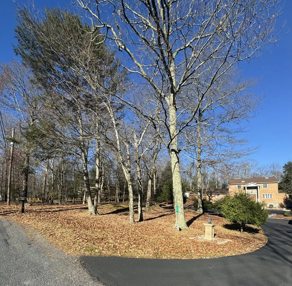 Professional outdoor landscaping for residential properties in Saylorsburg, PA by CGR Property Maintenance