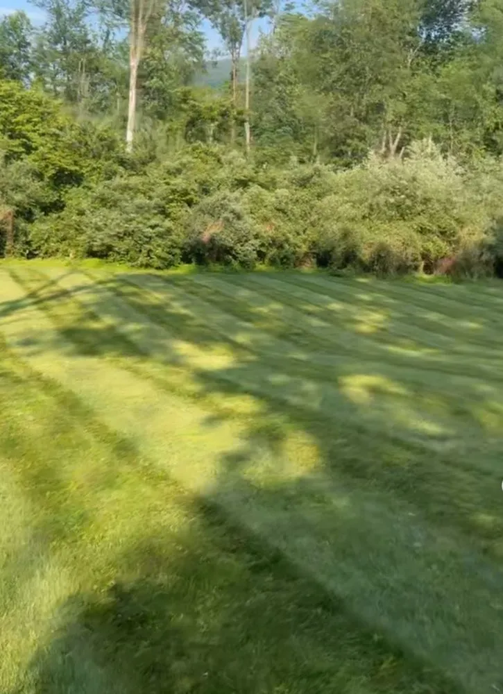 Reliable yard cleanup service for year-round maintenance in Saylorsburg, PA by CGR Property Maintenance