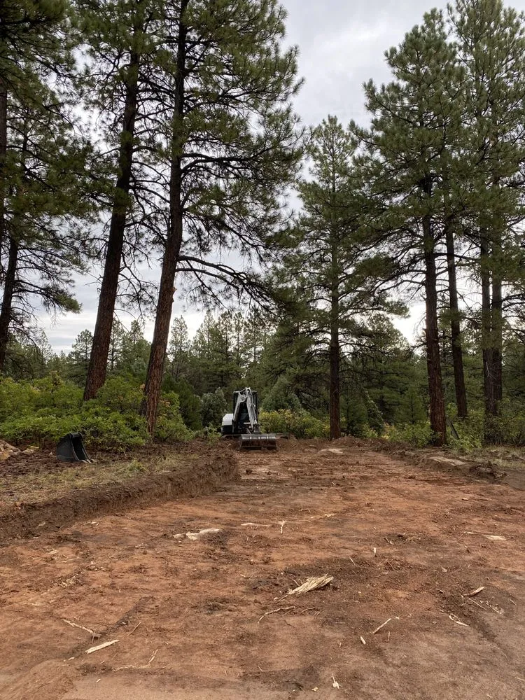 Expert lawn care service experts serving Grand Junction, CO - C.Grant Earthworks