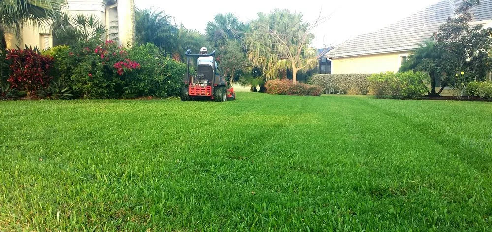 Affordable yard cleanup service in Bonita Springs, FL - CGreen Landscape