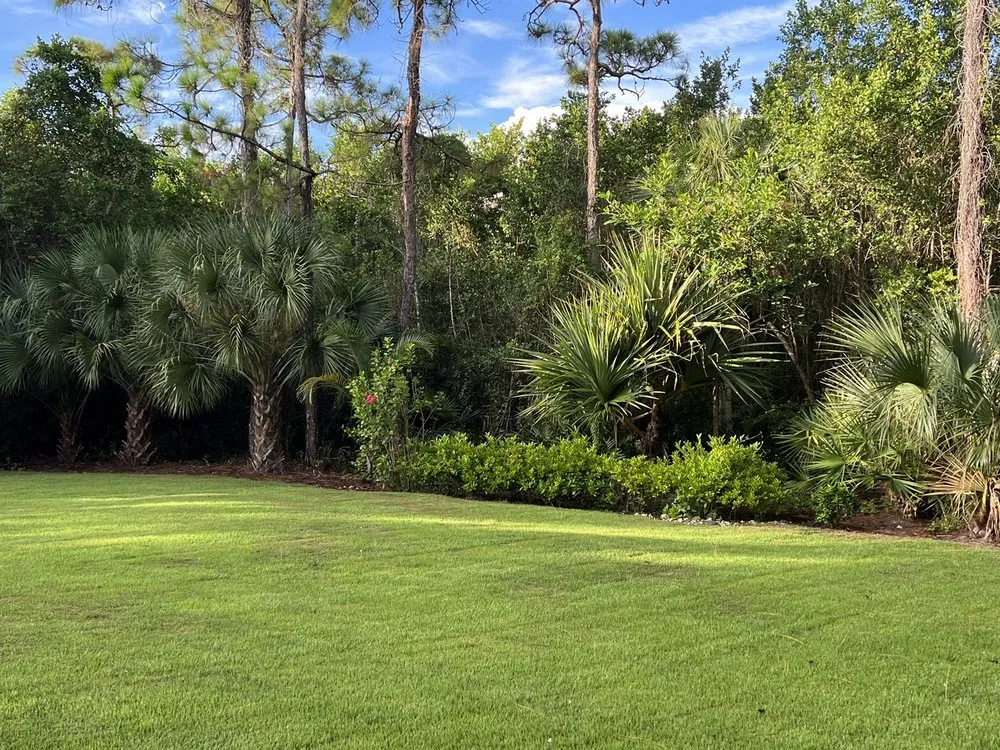 Professional landscape installation experts serving Bonita Springs, FL - CGreen Landscape