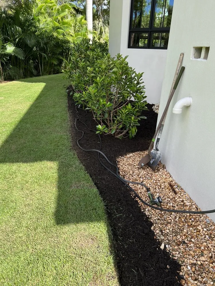 Reliable yard cleanup service for year-round maintenance in Bonita Springs, FL by CGreen Landscape