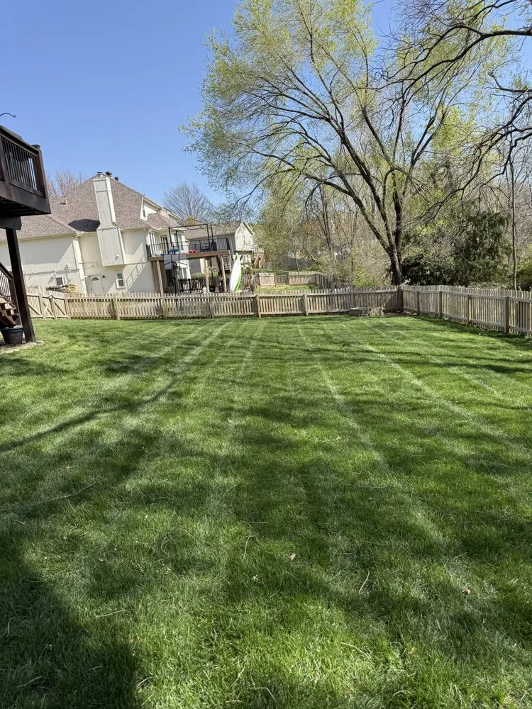 Affordable yard cleanup service for year-round maintenance in Kansas City, MO by CGRO Lawn Care & Landscaping