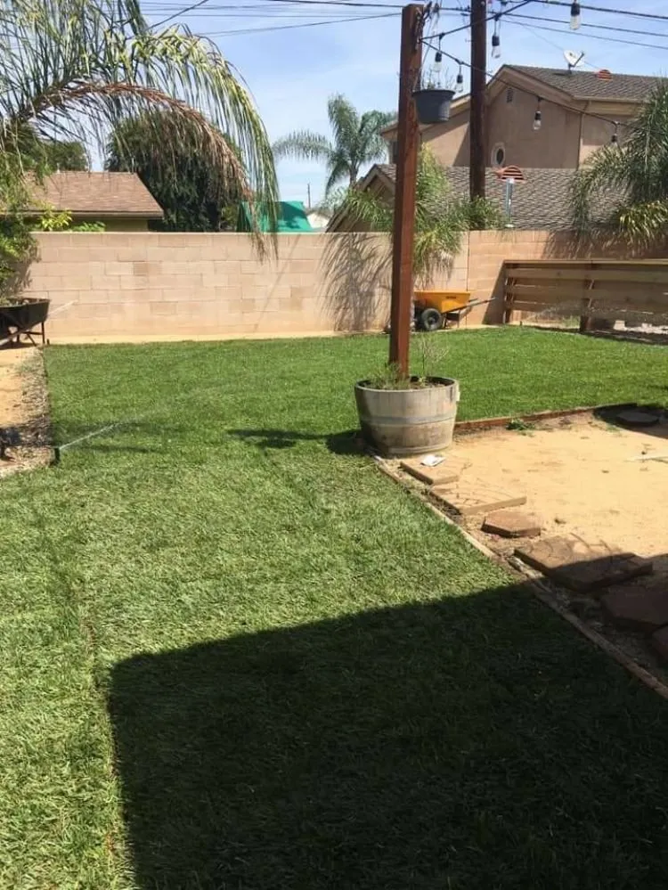 Top-rated yard maintenance for outdoor upgrades in Monrovia, CA by Cgs Landscapes