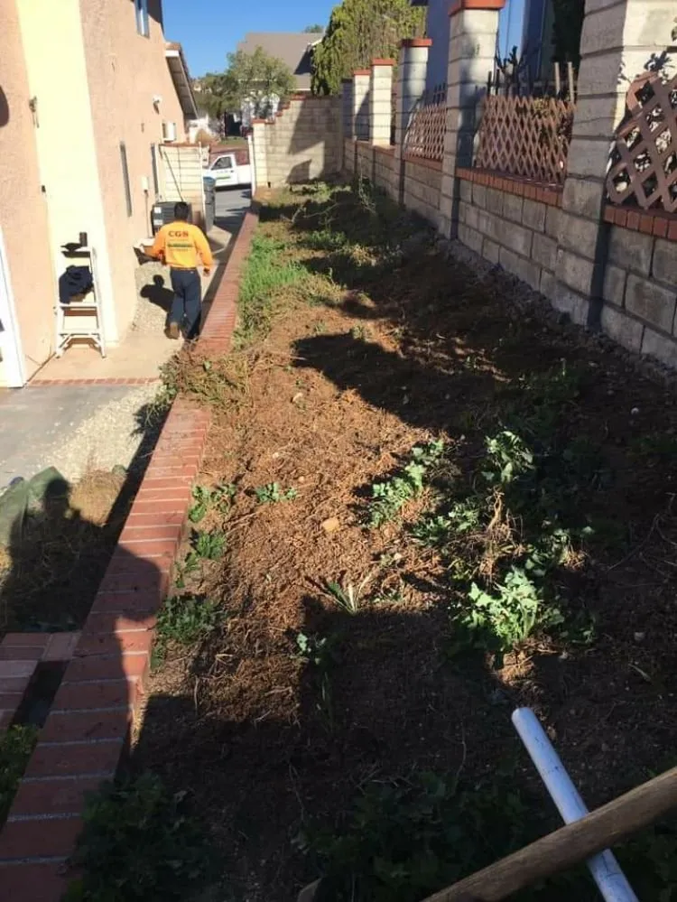 Professional residential landscaping in Monrovia, CA by Cgs Landscapes