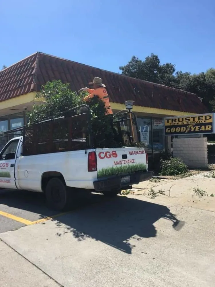 Top-rated residential landscaping experts serving Monrovia, CA - Cgs Landscapes