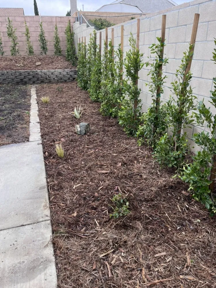 Reliable outdoor landscaping for homes across Monrovia, CA - Cgs Landscapes