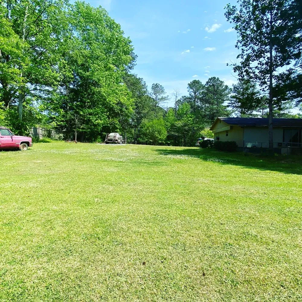 Professional yard cleanup service in Forsyth, GA by CGs landscaping and more