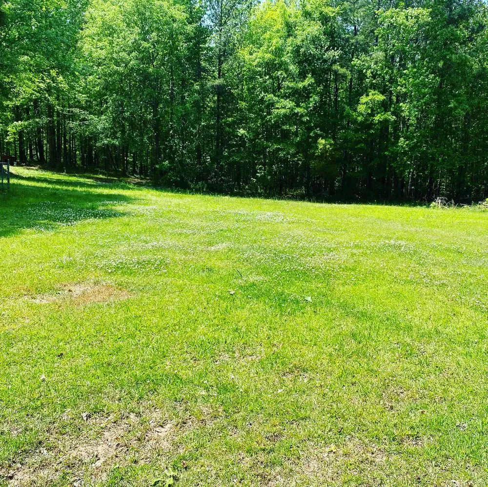 Professional lawn care service in Forsyth, GA by CGs landscaping and more