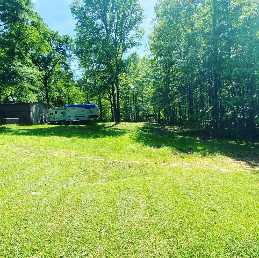 Local lawn care service experts serving Forsyth, GA - CGs landscaping and more