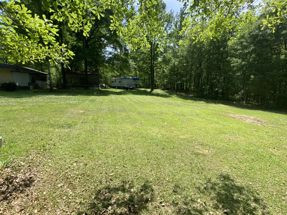 Expert lawn care service in Forsyth, GA - CGs landscaping and more