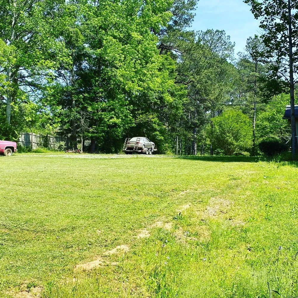 Expert landscape design in Forsyth, GA - CGs landscaping and more