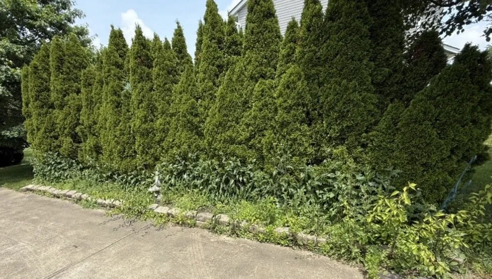 Trusted lawn mowing service in Lancaster, OH - CGs Landscaping