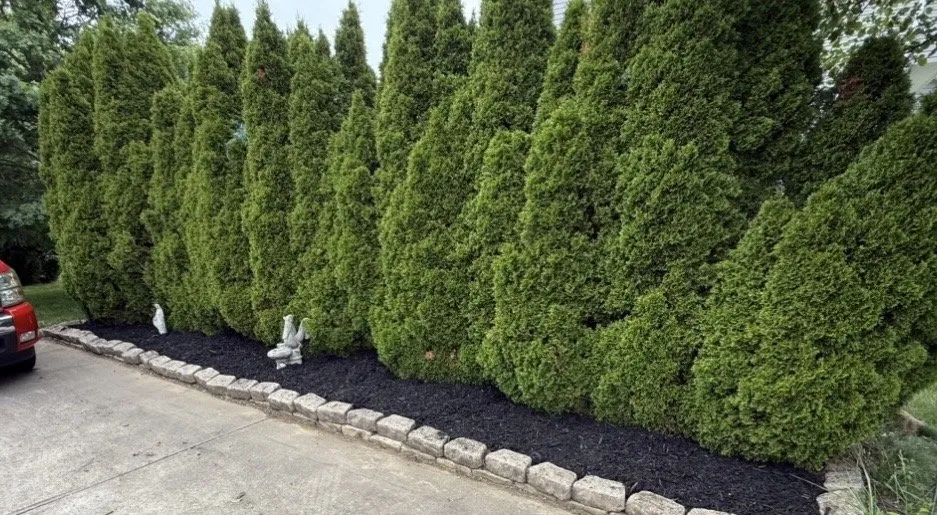 Expert yard cleanup service in Lancaster, OH - CGs Landscaping