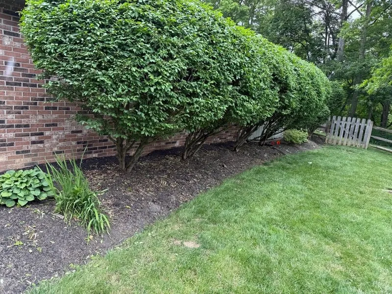 Affordable lawn mowing service for residential properties in Lancaster, OH by CGs Landscaping