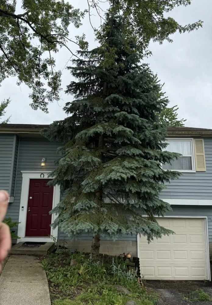 Reliable landscape design in Lancaster, OH by CGs Landscaping