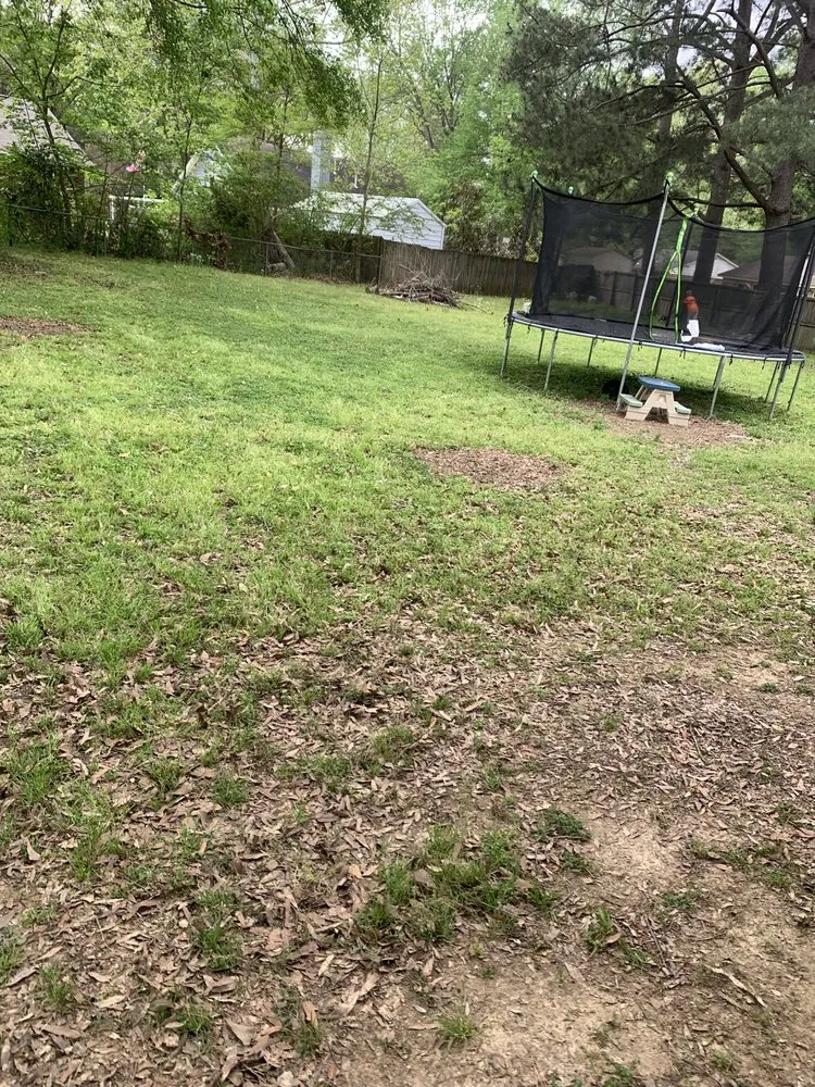 Affordable landscape installation in Red Banks, MS by Cgs Mowing & Landscape