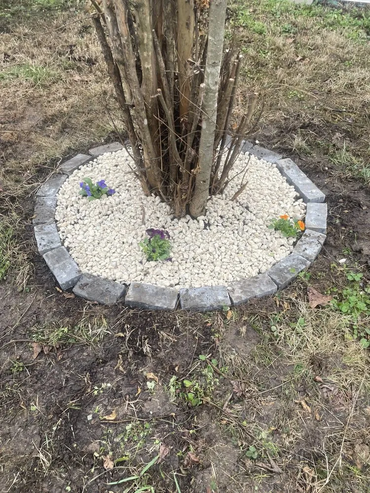 Top-rated residential landscaping for beautiful yards across Red Banks, MS - Cgs Mowing & Landscape