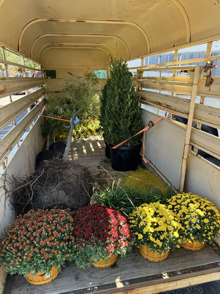 Professional landscape installation with custom design across Dalhart, TX - C.G.S Yard Service