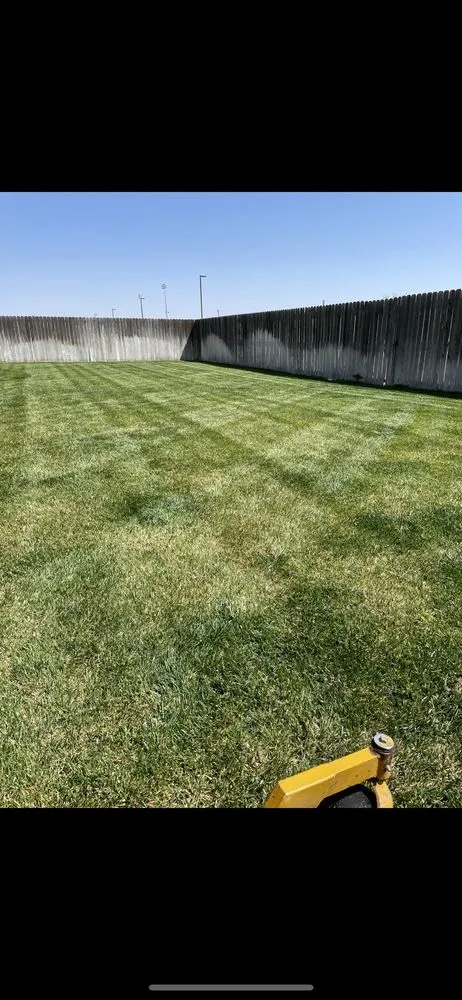 Custom yard cleanup service for homes in Dalhart, TX by C.G.S Yard Service