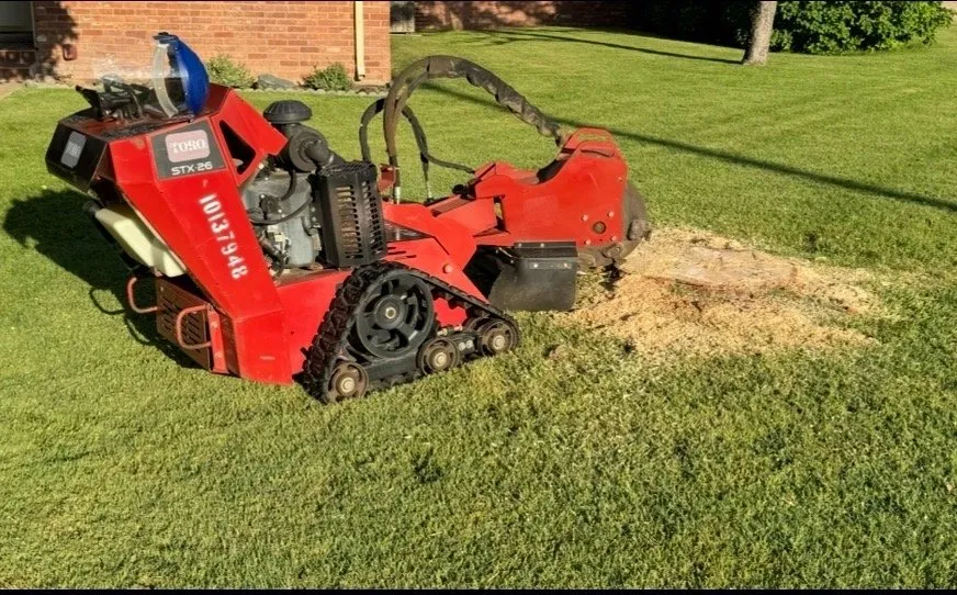 Expert landscape installation experts serving Dalhart, TX - C.G.S Yard Service