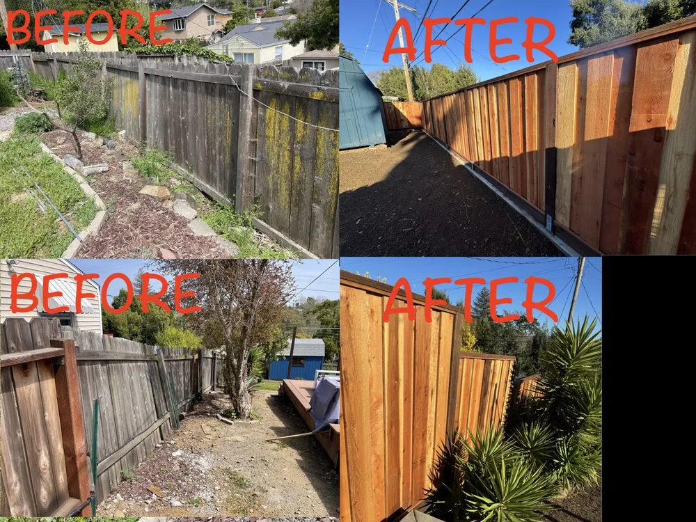 Trusted residential landscaping in Concord, CA by CH & L Services