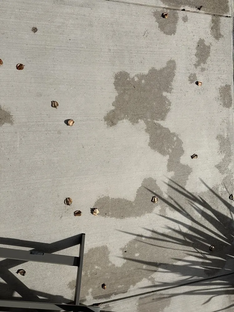 Top-rated outdoor landscaping experts serving Concord, CA - CH & L Services