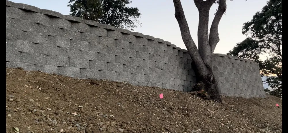 Professional lawn mowing service in Concord, CA - CH & L Services