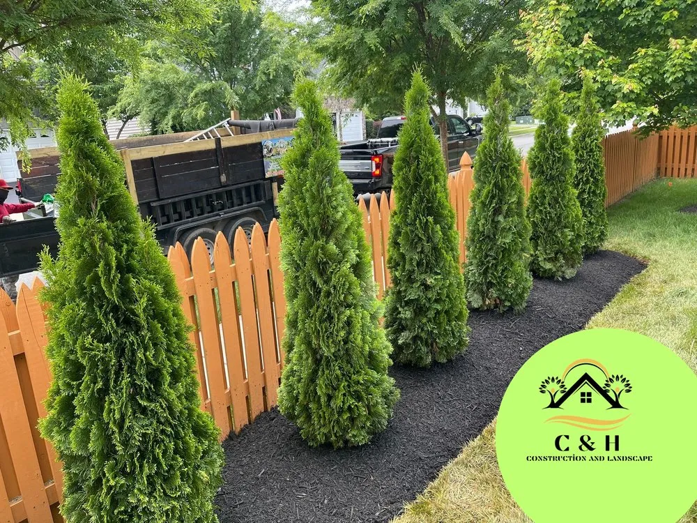 Professional lawn mowing service near you in Haymarket, VA by C&H construction and landscape