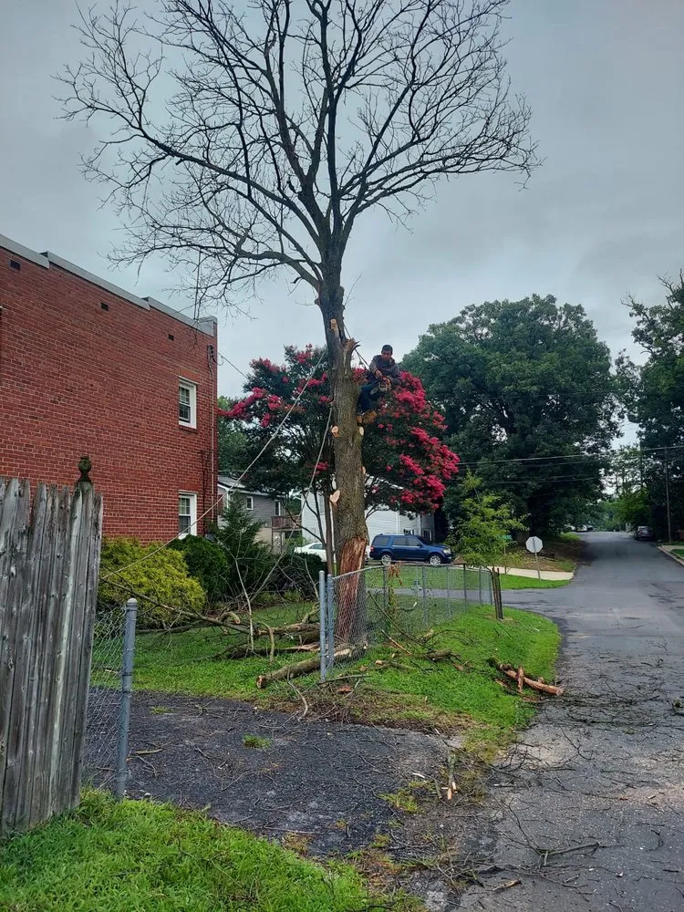 Local lawn mowing service experts serving Silver Spring, MD - CH Landscape