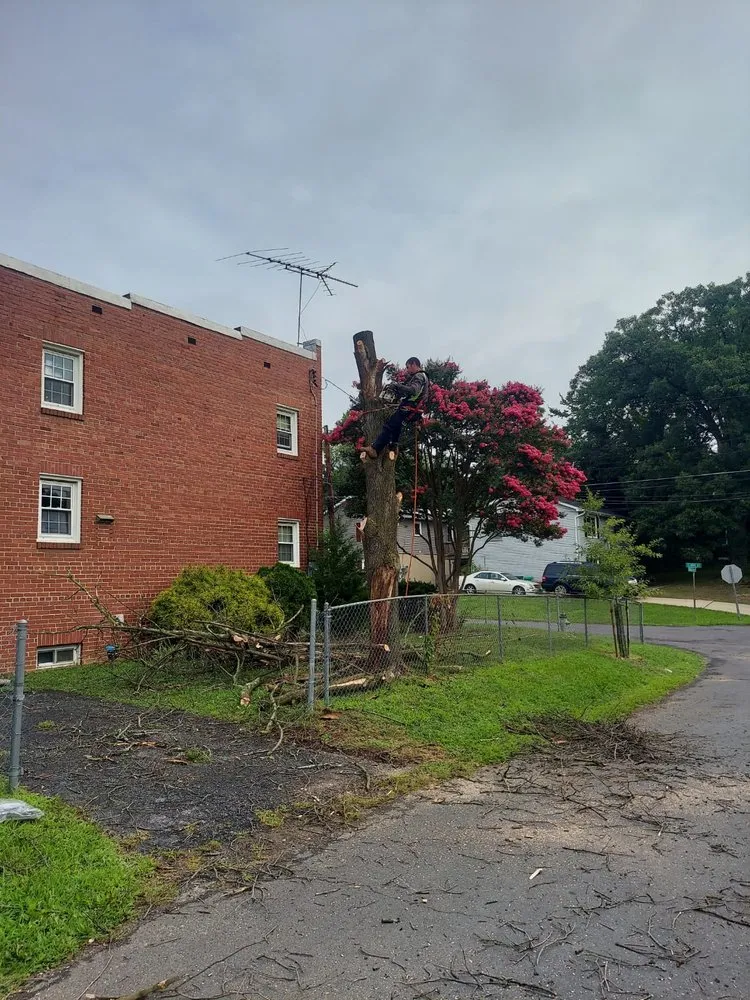 Affordable landscaping services experts serving Silver Spring, MD - CH Landscape