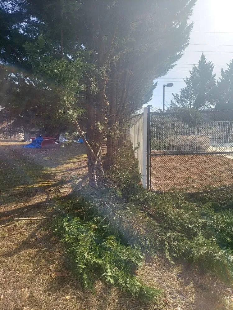 Top-rated landscaping services in Silver Spring, MD by CH Landscape