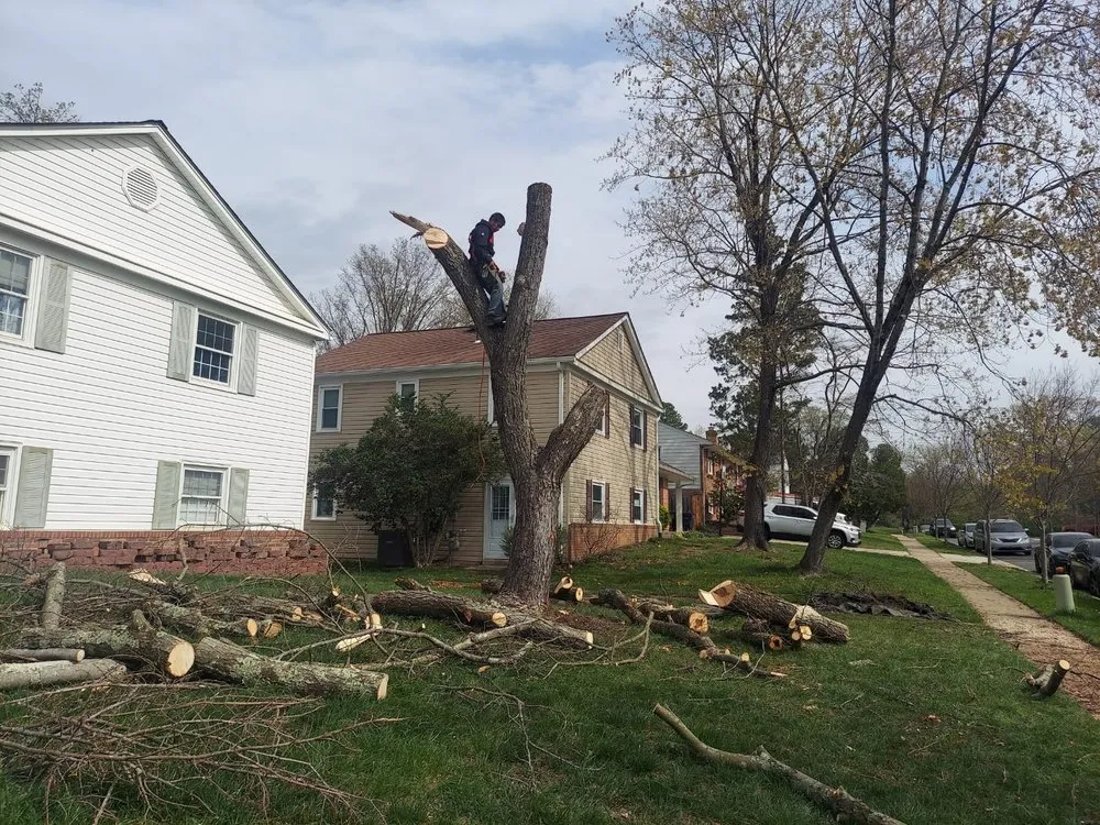 Reliable garden landscaping experts serving Silver Spring, MD - CH Landscape