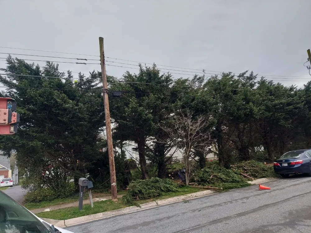 Affordable garden landscaping for beautiful yards in Silver Spring, MD by CH Landscape