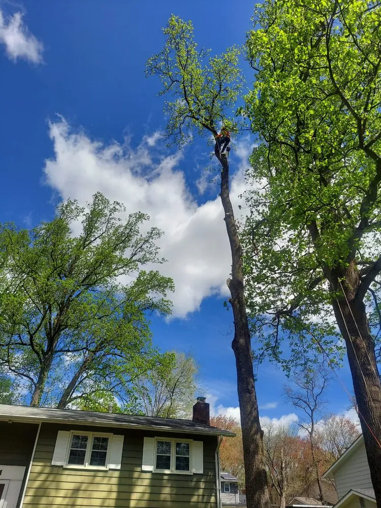 Top-rated residential landscaping in Silver Spring, MD - CH Landscape