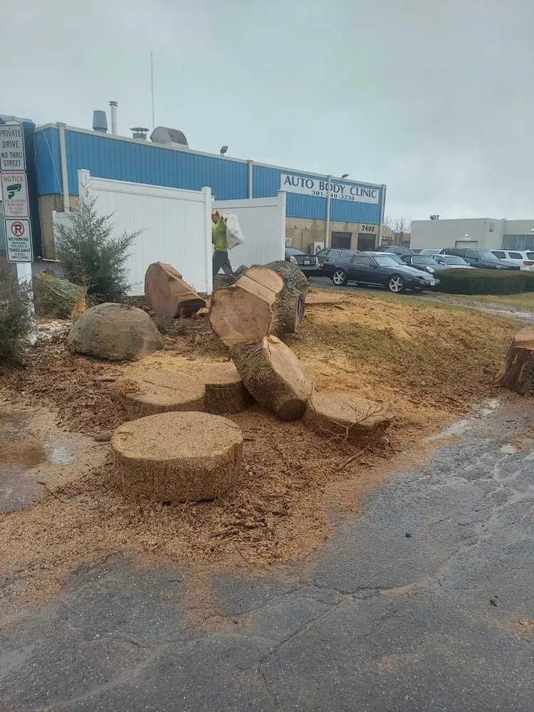 Affordable yard maintenance for homes across Silver Spring, MD - CH Landscape