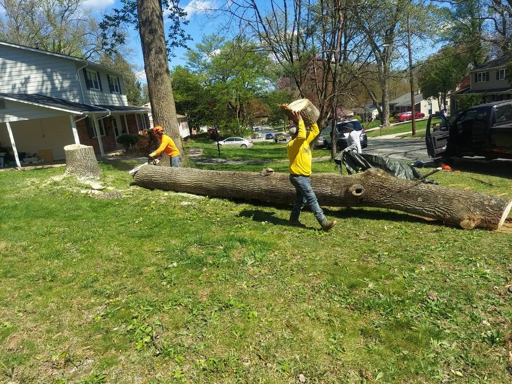 Professional landscaping services near you in Silver Spring, MD by CH Landscape