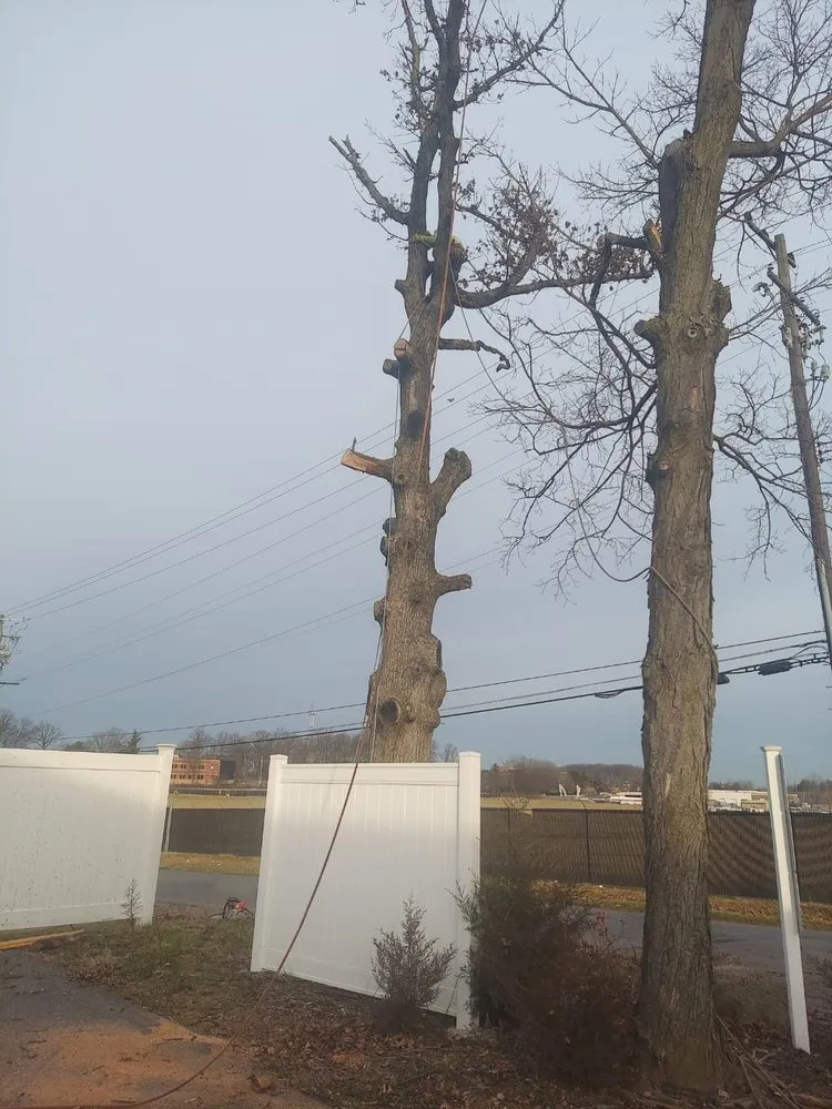 Expert lawn mowing service experts serving Silver Spring, MD - CH Landscape