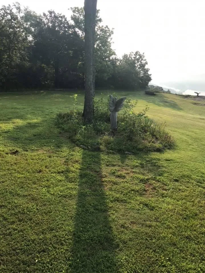 Expert lawn care service in New Hope, AL - C&H Landscapes