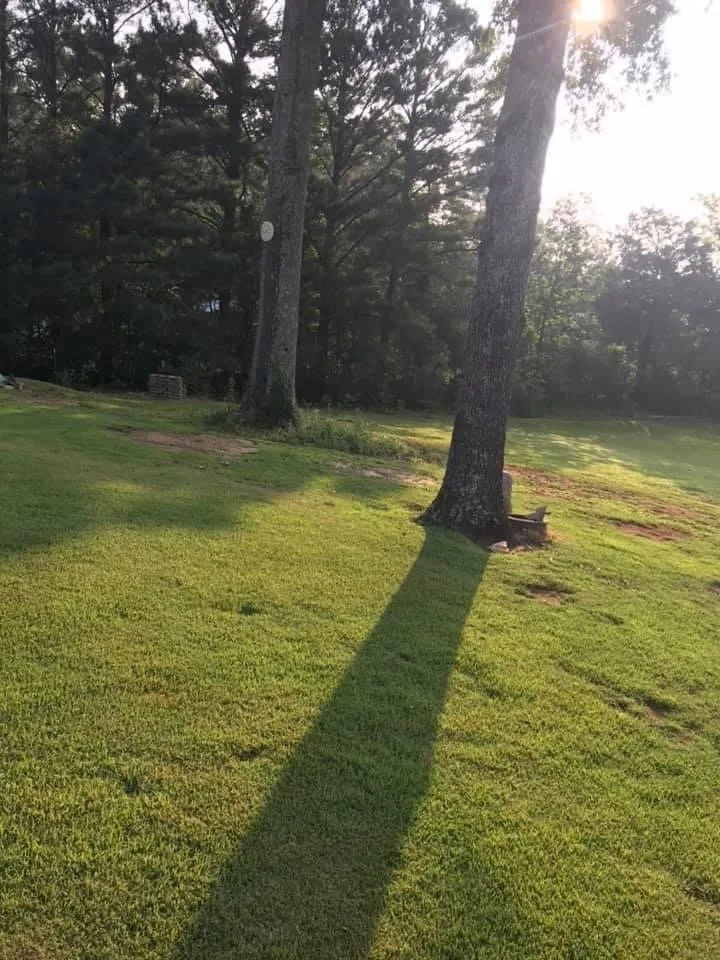 Expert lawn care service experts serving New Hope, AL - C&H Landscapes